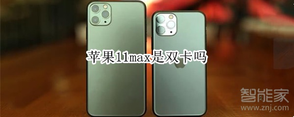 苹果11max是双卡吗
