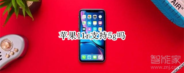 苹果11r支持5g吗
