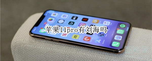 苹果11pro有刘海吗