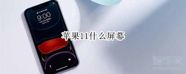 苹果11什么屏幕