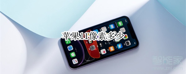 苹果11像素多少