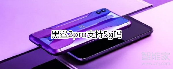 黑鲨2pro支持5g吗