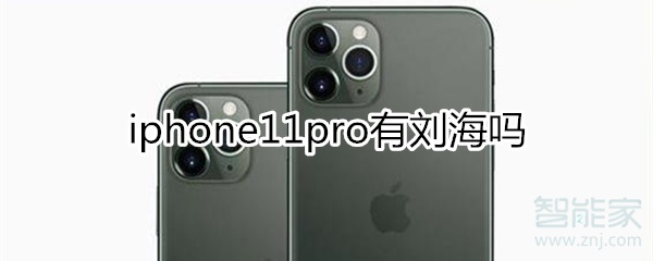 iphone11pro有刘海吗