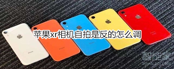 苹果xr相机自拍是反的怎么调