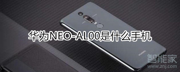 华为neoal00是什么型号手机