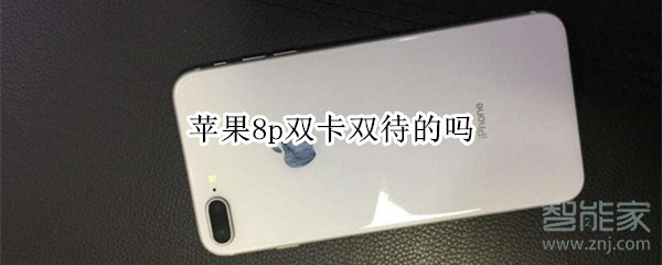 苹果8p双卡双待的吗