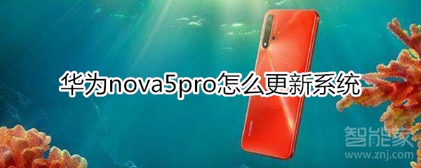 华为nova5pro怎么更新系统