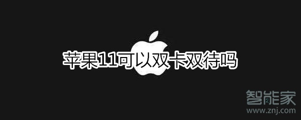 苹果11支持双卡双待吗
