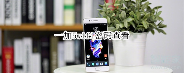 一加5wifi密码如何查询