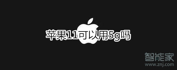 苹果11支持5g网络吗