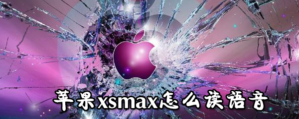 苹果xsmax如何读语音_苹果xsmax读语音方法详解