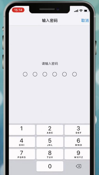 苹果手机设置面容id不能用怎么处理？处理面容id不能用的方法说明