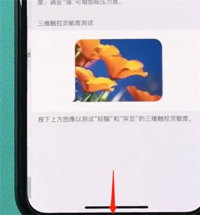 在iphonexr中怎么打开半屏功能？打开半屏功能的方法说明