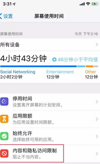苹果6s访问限制怎么设置 苹果6s访问限制设置方式一览
