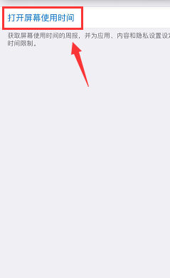 苹果xr访问限制在哪_苹果xr访问限制位置简介