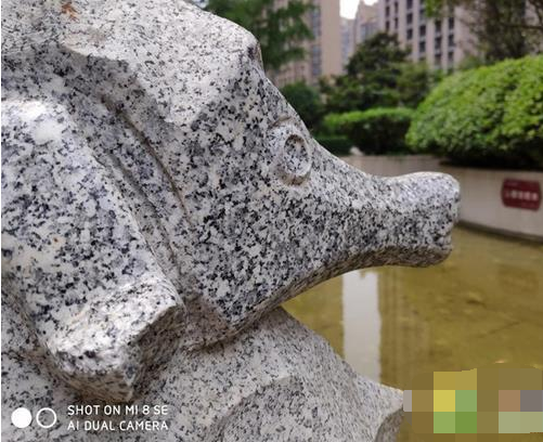 红米Note7对比小米8SE哪个好?两者性价比区别对比分析