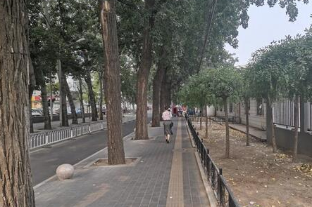 华为nova5Pro手机拍照像素怎么样?华为nova5Pro拍照效果说明