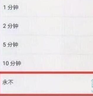 荣耀20pro设置屏幕常亮详细操作步骤