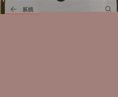 华为p30pro中将开发人员选项打开具体操作步骤