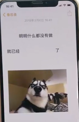 iPhone设置趣味锁屏壁纸具体操作流程