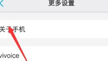 vivoS1中找到开发者选项位置具体操作步骤