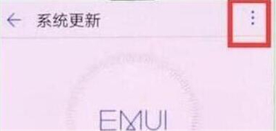 华为p30中将系统自动更新关掉具体操作步骤
