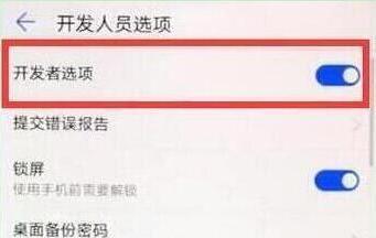 荣耀手机中找到开发者选项功能具体操作方法