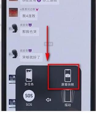 苹果手机进行截长图具体操作
