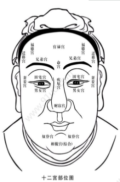 手机照片测面相怎么弄?手机照片测面相介绍!