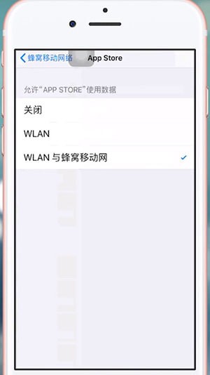 苹果手机中出现App Store无法连接具体解决方法