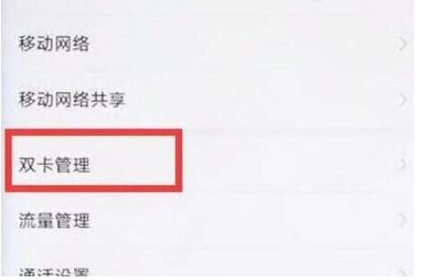 荣耀magic2手机打开双4g的具体操作步骤