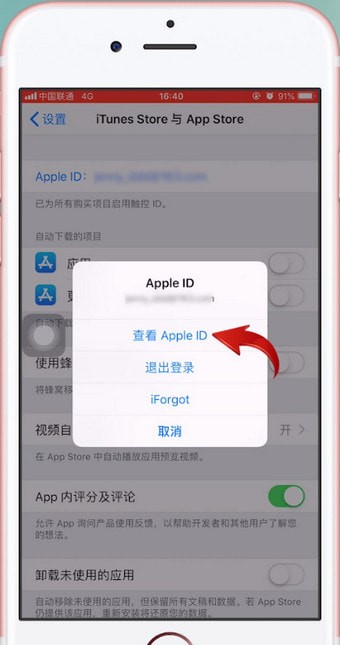 苹果手机中查询充值记录具体操作方法