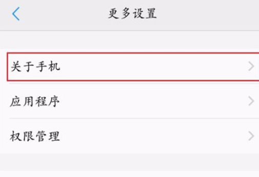 vivonex双屏版中打开开发者选项具体操作步骤