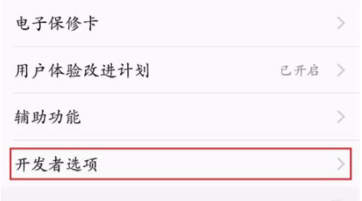 vivonex双屏版中打开开发者选项具体操作步骤