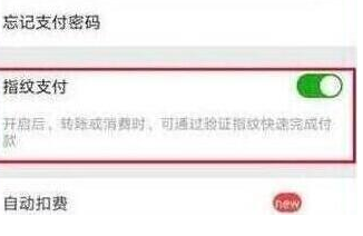 荣耀畅玩8c中设置指纹支付具体操作步骤