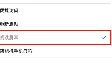 iphonex如何朗读屏幕 具体步骤介绍