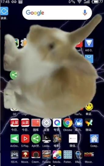 手机上的兔子是什么软件 手机屏幕上养宠物兔子APP叫什么