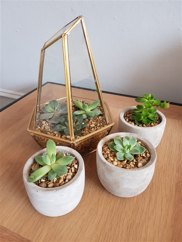 三星s8和苹果7哪个好 三星s8和iPhone7拍照对比