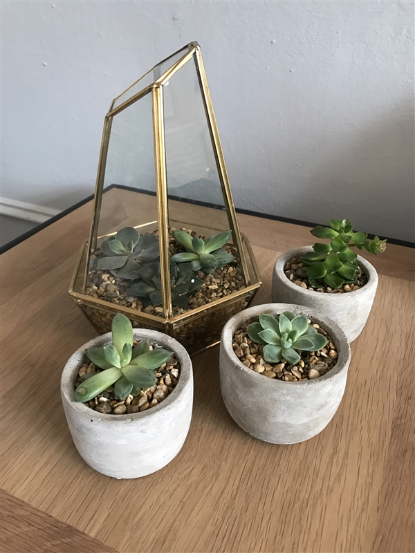 三星s8和苹果7哪个好 三星s8和iPhone7拍照对比