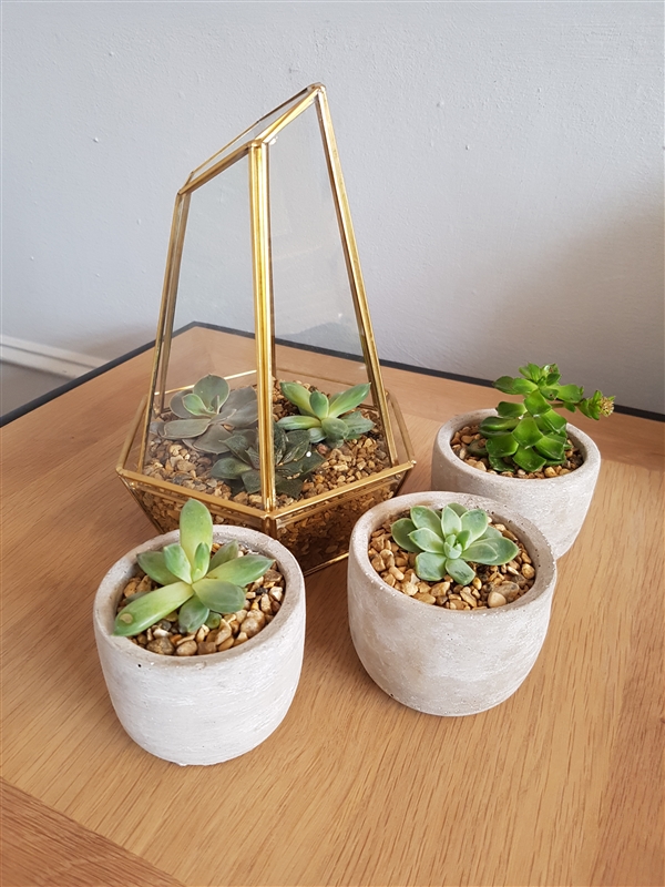 三星s8和苹果7哪个好 三星s8和iPhone7拍照对比