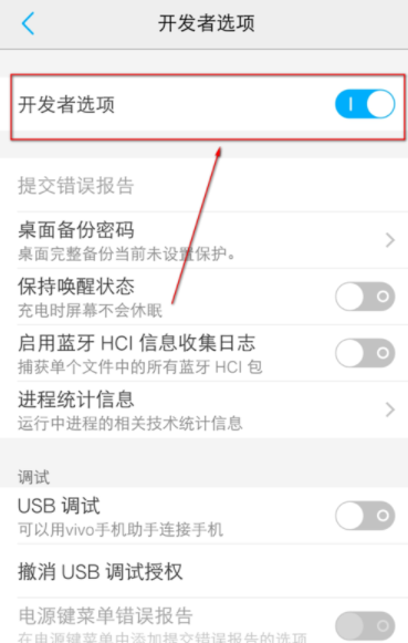 vivo手机开发者模式在哪关闭 vivo手机怎么关闭开发者模式
