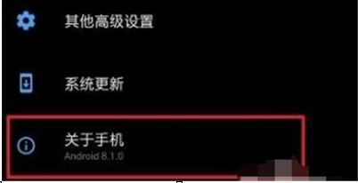 一加6t手机将开发者选项打开具体流程介绍