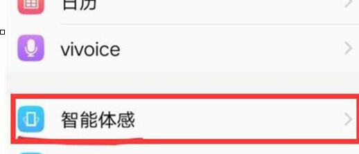 vivox23幻彩版将抬手亮屏打开具体操作流程