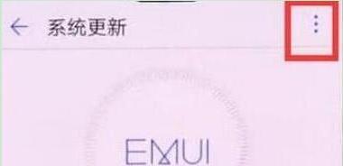 荣耀10青春版将系统自动更新关掉详细操作步骤