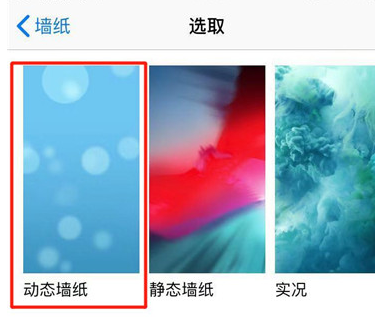 苹果xs设置动态壁纸具体操作步骤
