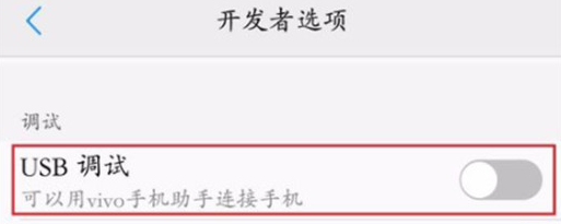 vivoz1青春版将usb调试开启具体操作步骤