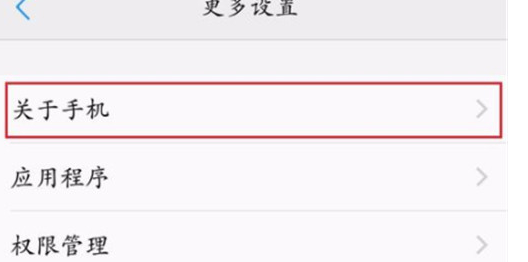 vivoz1青春版将usb调试开启具体操作步骤