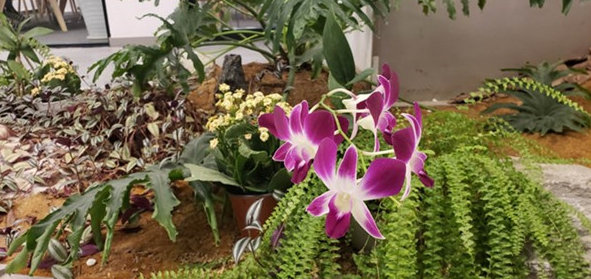 三星a9star使用全屏拍摄具体方法介绍