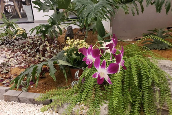 三星a9star使用全屏拍摄具体方法介绍