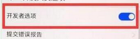 荣耀magic2如何将开发者选项开启 具体操作步骤